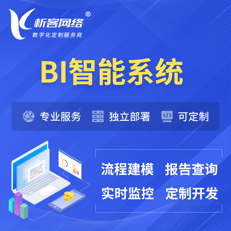贺州BI智能系统 | BI数据可视化